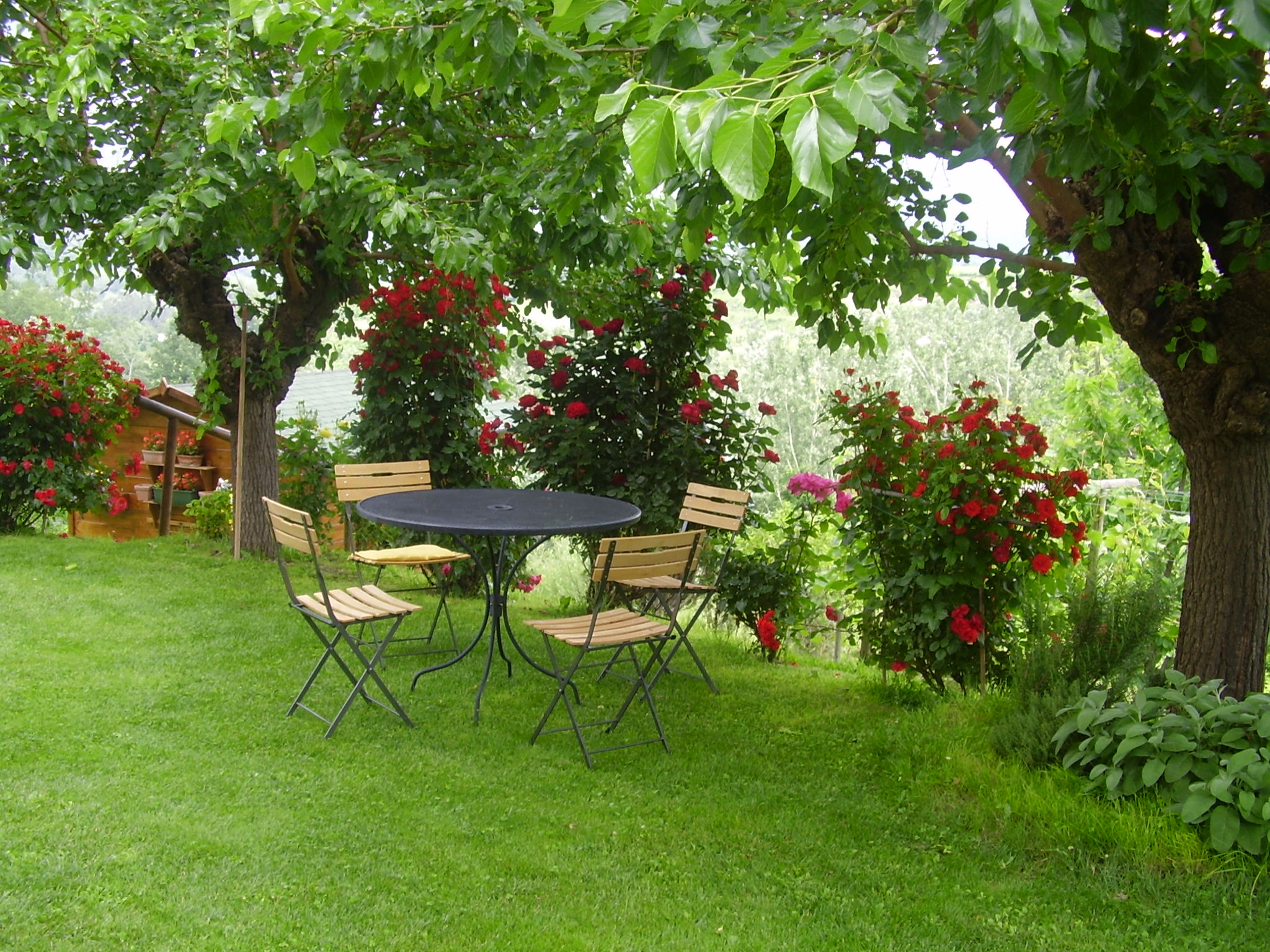 Dimora alle Vigne