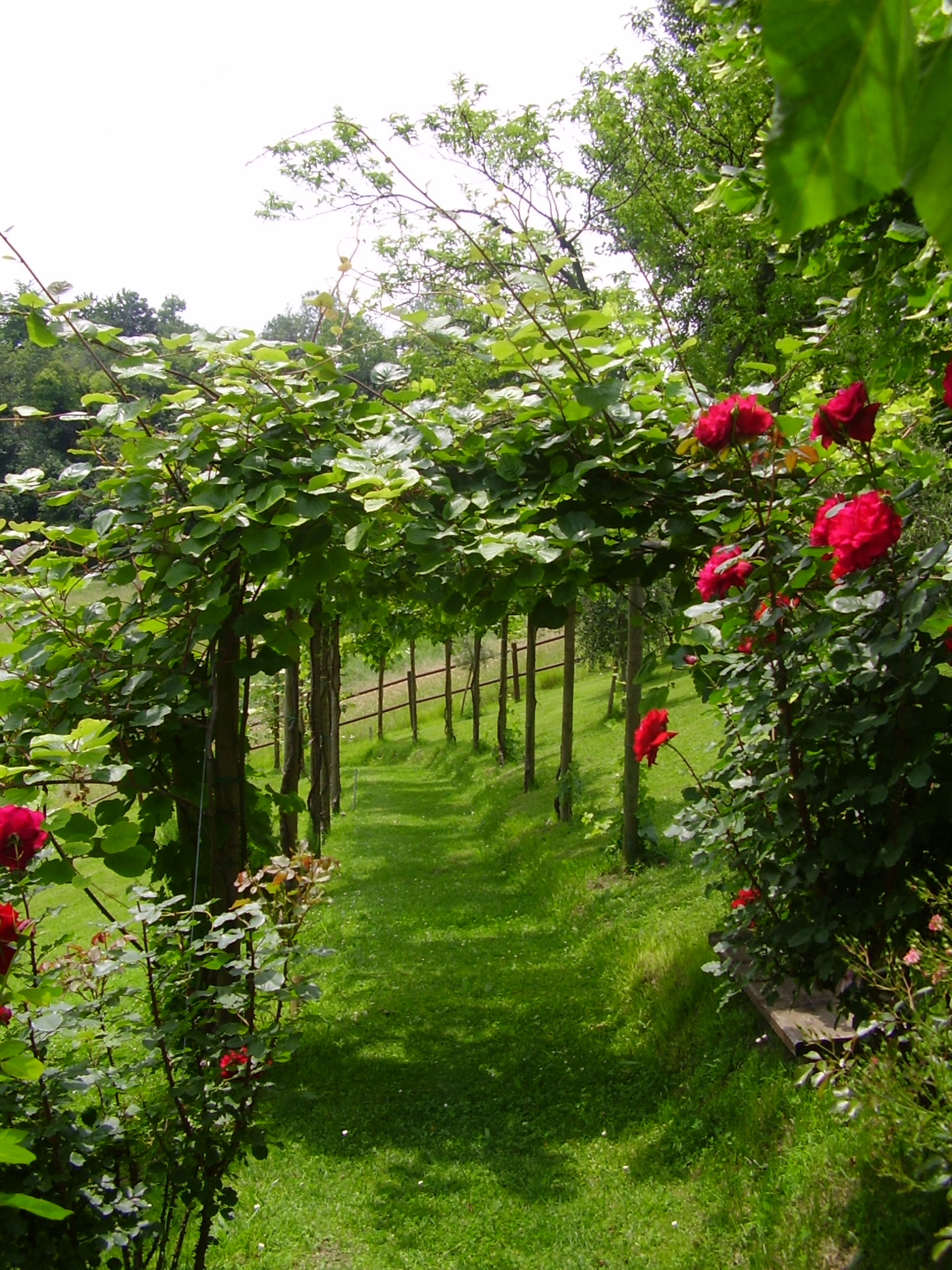 Dimora alle Vigne