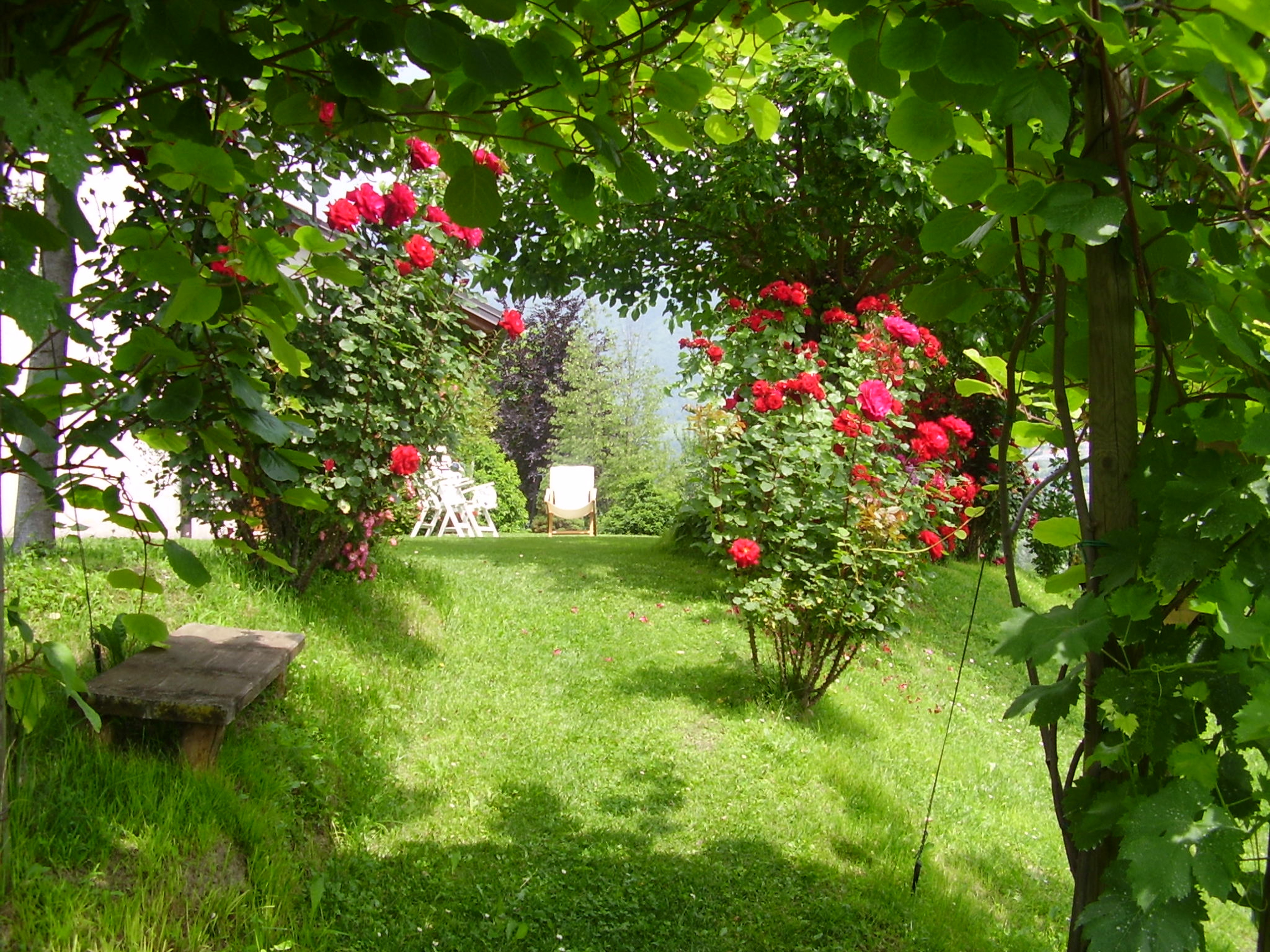 Dimora alle Vigne