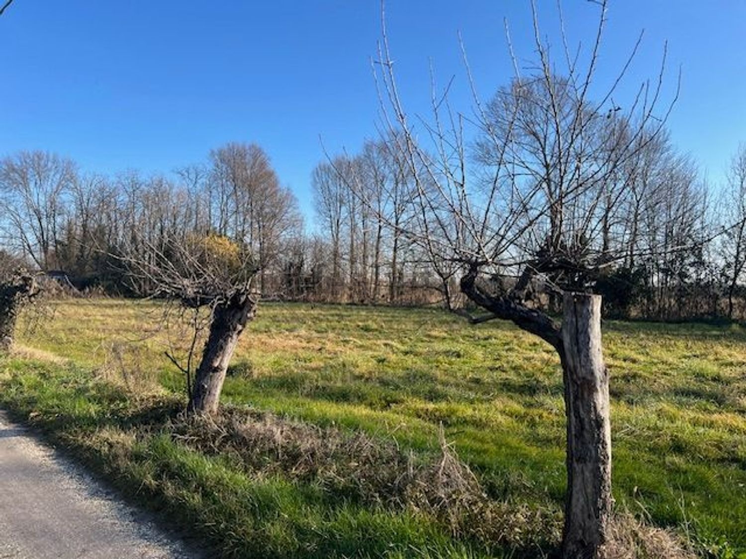 CASALE CON TERRENO DI DUE ETTARI A ZERMAN